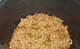 How to cook buckwheat in a slow cooker using water