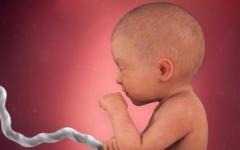 Foto av fostret, foto av buken, ultraljud och video om barnets utveckling Utveckling av barnet vid 31 veckors graviditet