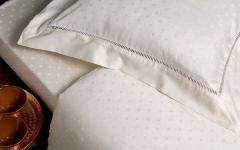 Korrekt tvätt av sängkläder: frekvens, tvättmedel, tvättlägen Husdjursallergier kan aktiveras av dammkvalster
