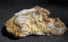 What rock predominates in the gold mine?