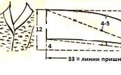 Construction of a standing-turn-down Schalk collar (Shawl collar)