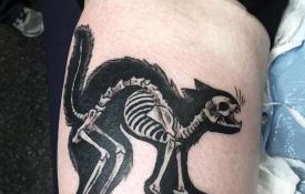 Cat Tattoo - Betydelsen av självständighet och självförsörjning